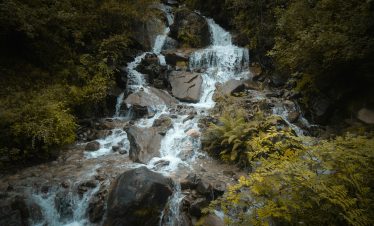 A tranquil waterfall cascades through a dense forest in Nepal, capturing nature's beauty.
